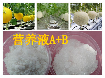 無土栽培營(yíng)養(yǎng)液.jpg