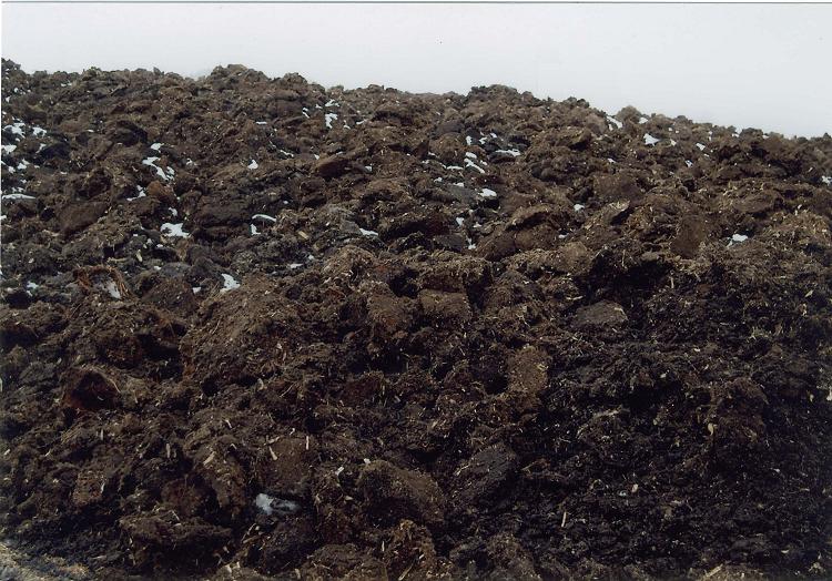 戳我試試 戳我試試