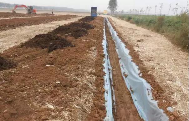 坑式栽培.jpg 坑式栽培.jpg