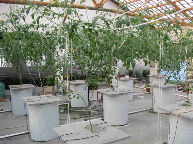 桶式氣霧培.jpg 桶式氣霧培.jpg