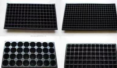 穴盤.jpg 穴盤.jpg