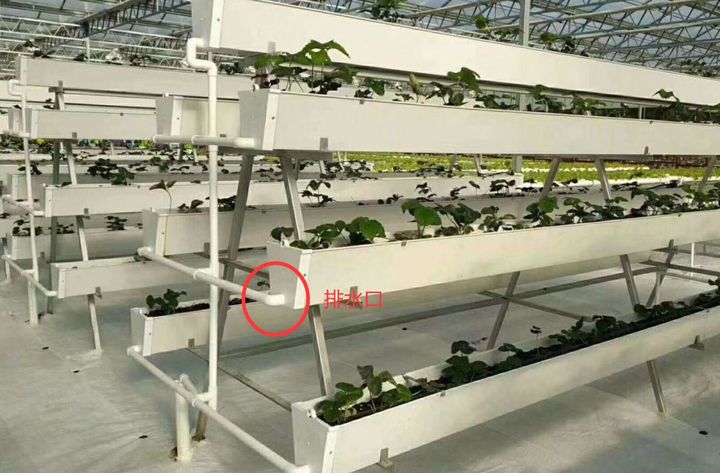 無土栽培椰糠種植排水口設(shè)計.jpg