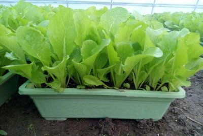 t01ac6db2ec225d38ba.jpg t01ac6db2ec225d38ba.jpg