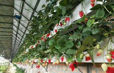 t01edfb78171085759e.jpg t01edfb78171085759e.jpg