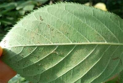 t01f4c1367736cf8eeb.jpg t01f4c1367736cf8eeb.jpg